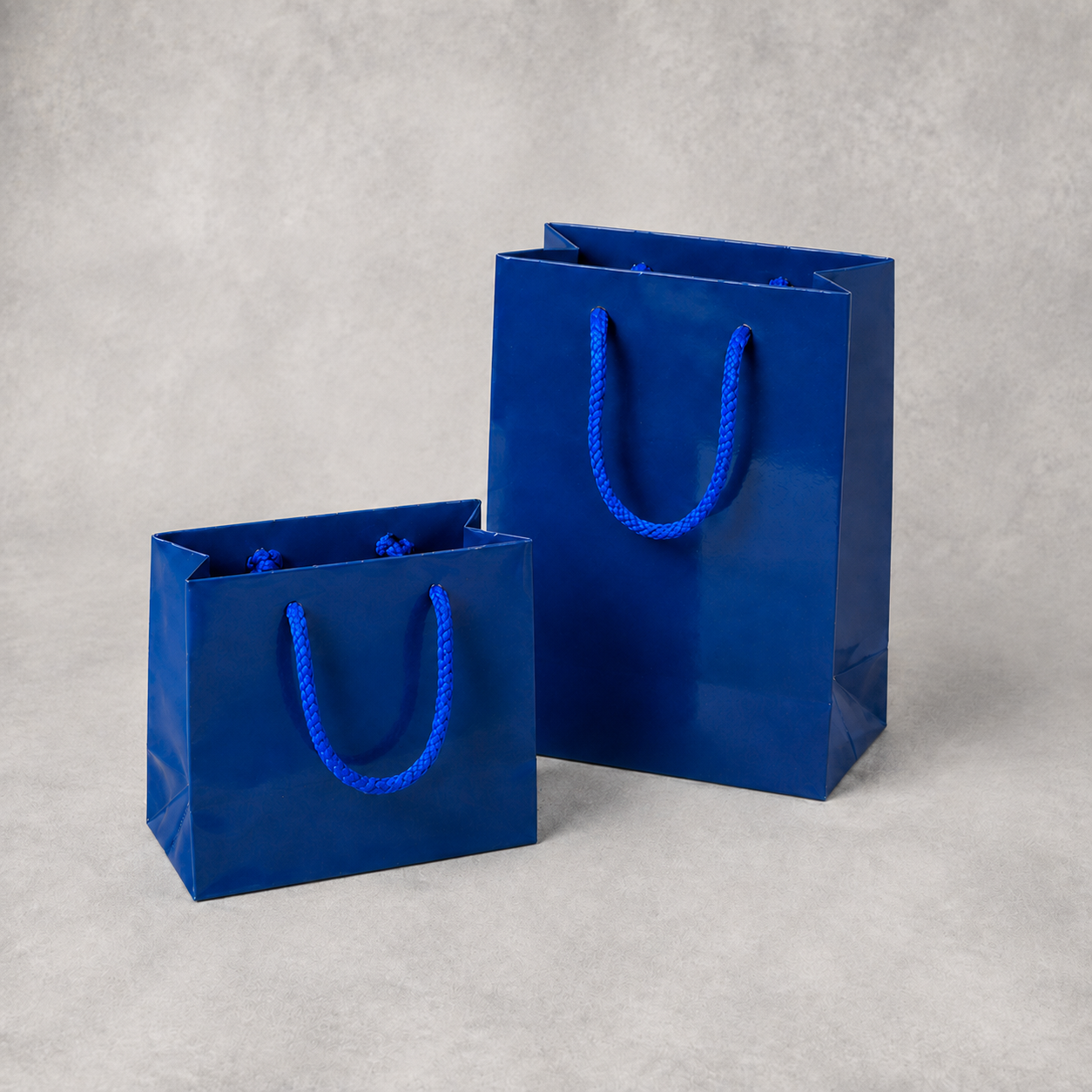 blue gloss laminated paper carrier bags two sizes 750x750 2